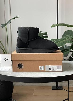 Жіночі уггі ugg