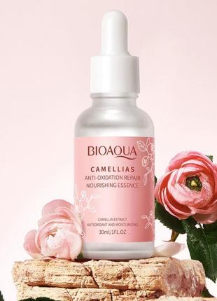 Сироватка для обличчя з камелією bioaqua camellias anti-oxidation nourishing essence