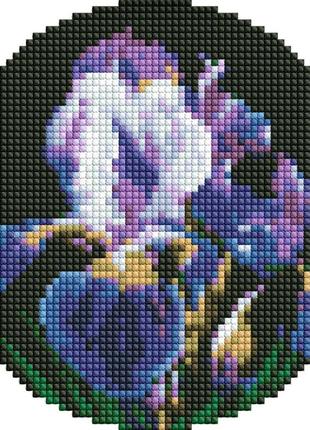 Набір з алмазною мозаїкою "ніжні іриси" на круглому підрамнику d19см