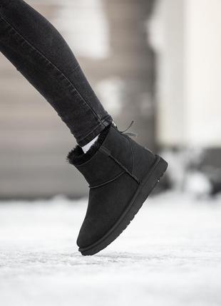 Зимние женские угги ugg classic mini zip (мех) 36-37-38-39-40