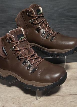 Жіночі трекінгові черевики cotsworld barnwood, 38/24,5 см