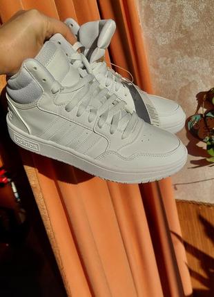 Кроссовки, кеды adidas hoops новые5 фото