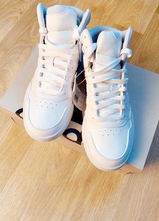 Кроссовки, кеды adidas hoops новые2 фото
