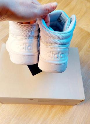 Кроссовки, кеды adidas hoops новые3 фото