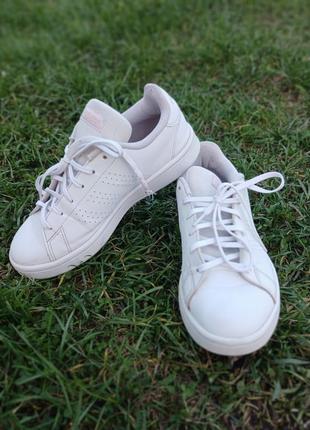 Кросівки adidas