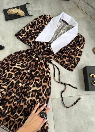 Сукня 🐆