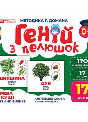 Набор развивающих карточек гений с пеленок деревья и кустарники 10107196, 17 карточек