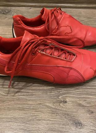 Мужские кроссовки puma5 фото