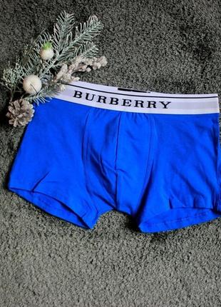 Мужское белье burberry blue m