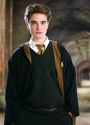 Седрик дигеро-дигери чарівну паличку пуффендів wizarding world hufflepuff гаррі потер кубок вогню cedric diggory harry potter