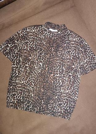Топ футболка кропу топ леопард лео леопардовий  принт5 фото