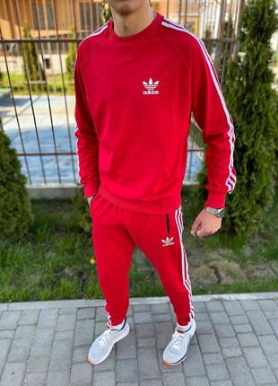 Спортивный костюм adidas3 фото