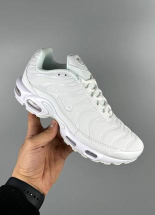 Кроссовки nike air max tn