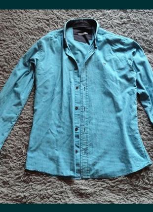 Чоловіча сорочка tommi hilfiger