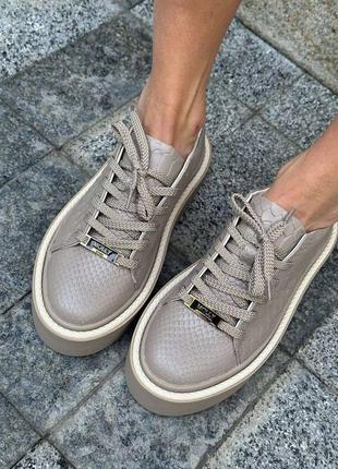 Кеды женские molly 256 капучино/питон (весна-осень, кожа натуральная) (5378)