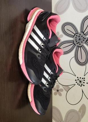 Кросівки жіночі adidas