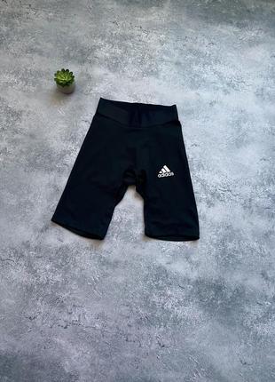 Жіночі термошорти/ велосипедки  adidas