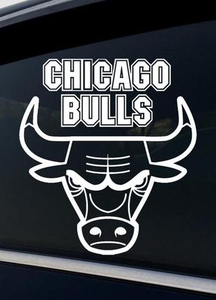 Виниловая наклейка на авто и любую поверхность в любых размерах - chicago bulls