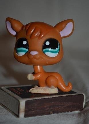 Петс шопы pet shop игрушки зоомагазин littlest pet shop lps кенгуру