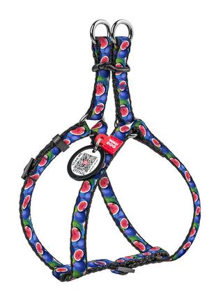 Шлея для котів та дрібних порід собак waudog nylon з qr паспортом, малюнок "інжир", пластиковий фастекс, xs, ш