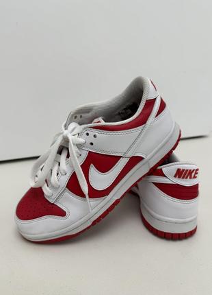 Кросівки nike dunk