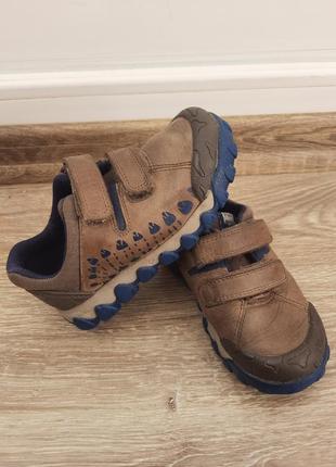 Шкіряні кросівки clarks у стилі динозаврів