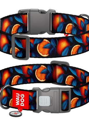 Нашийник для собак нейлоновий waudog nylon з qr паспортом, малюнок "апельсини", пластиковий фастекс, xxl, ш 35