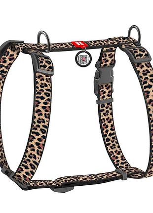 Шлея для собак анатомічна h-подібна waudog nylon з qr-паспортом, малюнок "леопард", пластиковий фастекс, s, ш