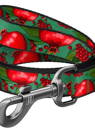 Повідець для собак нейлоновий waudog nylon, малюнок "гранати", s, ш 15 мм, дов 300 см