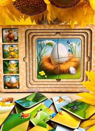 Сортер-пазл "етапи розвитку курочки"