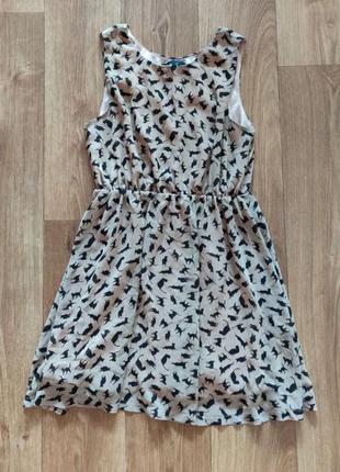 Плаття шифонове коричневе з кицями