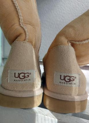 Жіночі зимові уггі
ugg оригінал