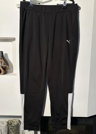 Спортивные штаны р xl (18/20)