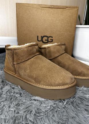 Угги угги ugg