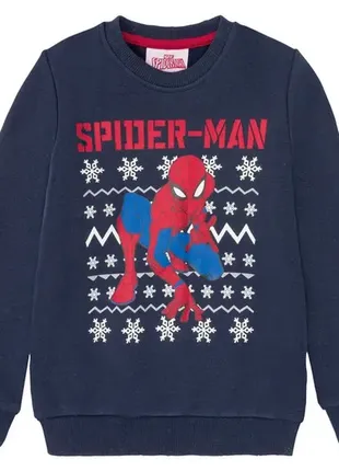 Утепленный свитшот spiderman