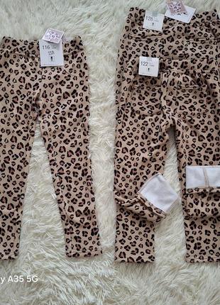 Джегінси лосіни на густому флісі