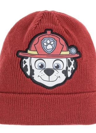 Шапка для хлопчика paw patrol патруль від cool club 54 см