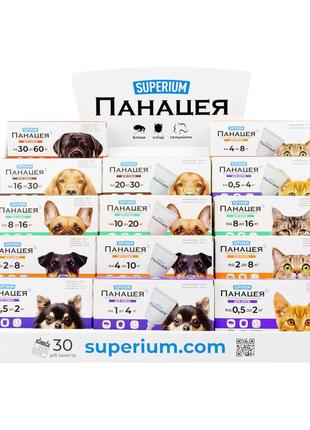 Дисплей superium panacea, картон, 38х32х17см