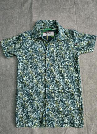 Яркая рубашка с короткими рукавами