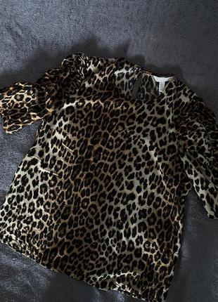 Блуза h&amp;m в леопардовый принт2 фото