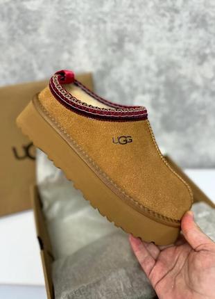 Ugg, угги из натуральной замши