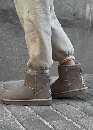 Женские угги ugg classic mini beige мини бежевого цвета
