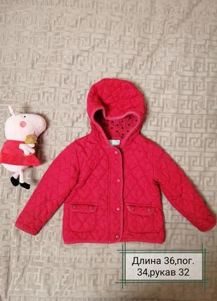 Курточка осень - весна