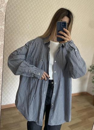 Сорочка lacoste 10