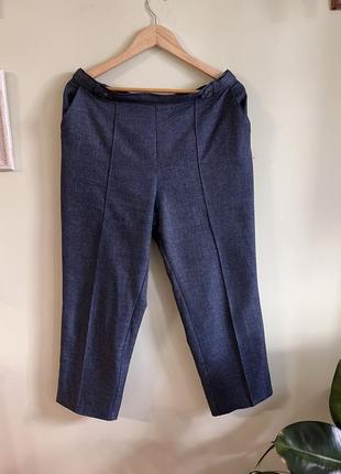 Жіночі класичні брюки 16/xl