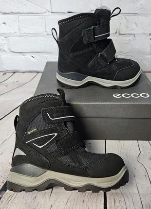 Зимние ботинки ecco mountain