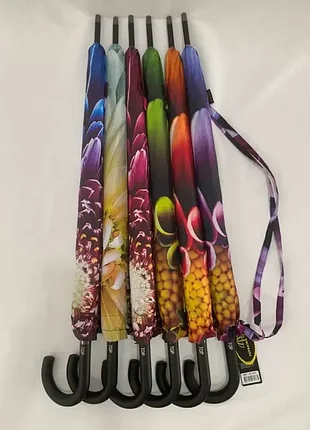 Зонт, зонт трость, с рисунком, 10 спиц карбон, анти-ветер, 7073