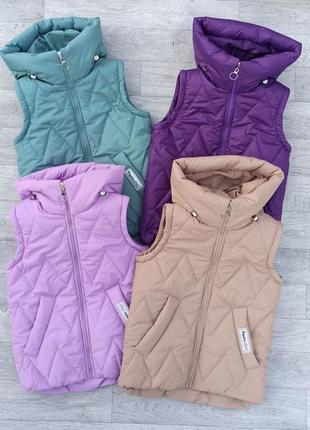 Куртка жилет демісезон 8