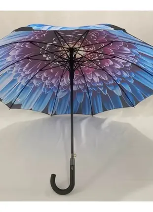 Зонт, зонт трость, с рисунком, 10 спиц карбон, анти-ветер, 7073