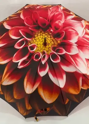 Зонт, зонт трость, с рисунком, 10 спиц карбон, анти-ветер, 7073